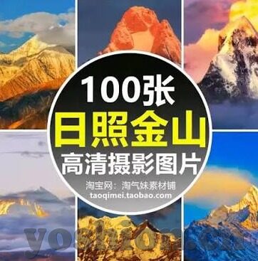大象传媒的老总怎么了-大象传媒老总的非凡之旅，挑战与转型的深度剖析
