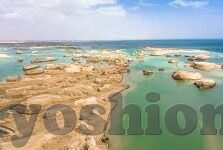 大象传媒网页版入口-探索大象传媒，网络文化的新视窗