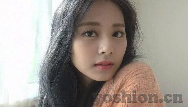 大象回家视频隐藏-大象归途，一段隐秘而感人的视频之旅