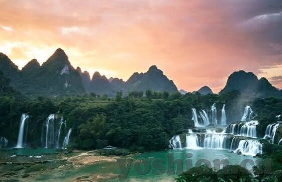 大象一二三区别视频-探索大象，从一二三到视频的奇妙旅程