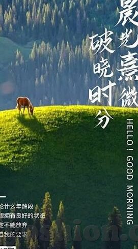 果冻传媒app在线下载-探索果冻传媒app，在线下载的便捷与内容魅力