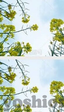麻豆日记App的评论-麻豆日记App，记录生活，成长更舒畅