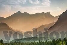 糖心app的邀请码-解锁独特体验，糖心APP邀请码之旅