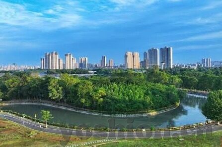 糖心视频app下载安装ios-沉浸视听盛宴——iOS设备上糖心视频App的便捷获取与享受