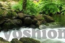 糖心vlog 在线观看-糖心vlog，在线观赏的现代风尚