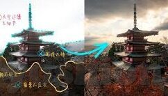 糖心直播免费版app下-芒果时刻，解锁免费直播体验的甜蜜时光