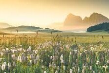 亚洲av无一区二区三区-探索亚洲影视文化的多元面貌，从一区到三区的视角