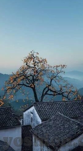 亚洲制服师生 中文字幕-亚洲制服，师生间的一抹独特风景